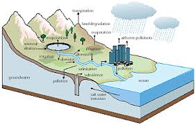 Graphics Cross Section Of A Portion Of The Earth S Surface Contact Your Instructor If You Are Unable Architectural Section Creative Inspiration Earth Surface
