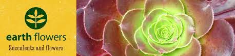 We did not find results for: About Earth Flowers