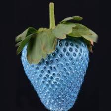 500pcs Green Strawberry Seeds Fruit Seeds Garden Seeds Graine De Tomate Graines De Fruits Sucre Gommage Bricolage
