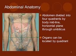 Maybe you would like to learn more about one of these? 1 Abdominal Pain Amy Little Md Albany Medical Center Ppt Download