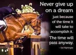 Never Give Up Horse Riding Quotes Inspirational Horse Quotes Equine Quotes