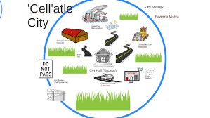 6 to 30 characters long; Animal Cell Analogy City By Raveena Mishra