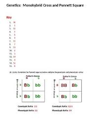 Check spelling or type a new query. Genetics Monohybrid Cross Vocabulary And Punnett Square Test Quiz Worksheet