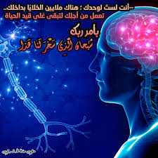 أنت لستَ لوحدك ؛ هناك ملايين الخلايَا بداخلك.. تعمل من أجلِك لتبقى عَلى قيد  الحياة بأمر الله سُبْحانَ الَّذِي سَخَّرَ لَنا هَذا