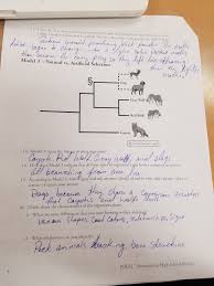 The manager should appoint one group member to cut apart model 1 to separate the nine drawings. Biological Classification Pogil Answers Model 3 Pogil Bio Classification
