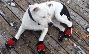 Are you a novice to choose a suitable. 11 Diy Dog Bootie Plans Homemade Paw Protectors