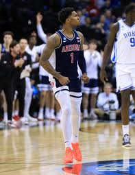 Former Arizona Wildcats tight end Rob Gronkowski likes to party, and thats  OK – The Daily Wildcat