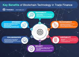 Blockchain might sound way ahead of its time but we have some budding practical applications that can substantially transform our affair with technology. Blockchain Applications And Its Future