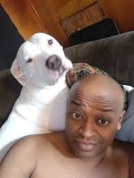 Honoring a beloved pet's memory