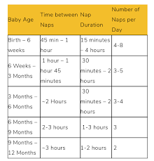 Sleep Chart Question Sleep Training Forums What To Expect