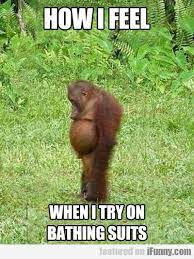 How I Feel When I Try On Bathing Suits Funny P Laugh Funny Quotes