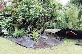 We did not find results for: 10 Mulching Tips That Will Give Your Garden A Makeover Home For The Harvest