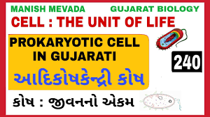 We did not find results for: Prokaryotic Cell In Gujarati àª†àª¦ àª• àª·àª• àª¨ àª¦ àª° àª• àª· Youtube