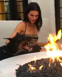 Kendall jenner joked that she was 'raising a model' in some fun photos of her gorgeous doberman pinscher pyro. Image About Dog In Jenner Kendall By On We Heart It