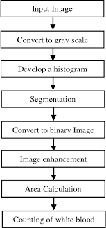 figure 6 from counting of rbc s and wbc s using image