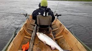 Discover the best boat anchors in best sellers. Best Fishing Rod Holders For Boats Kayaks Shore And More Skyaboveus