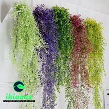 We did not find results for: Jual Daun Rambat Kecil Tanaman Rambat Daun Plastik Warna Warni Bunga Dekor Maroon Kab Karawang Ikiaces Tokopedia