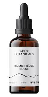 Image result for Bidens pilosa