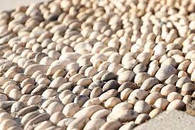 Jika lintasan kereta api hanya disangga. Batu Laut Putih Tekstur Kerikil Batu Alam Pantai Meditasi Pijat Warna Pikist