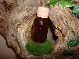 Extrait De Vanille Fait Maison La Ptite Sorciere Cuisine Fait Maison Maison Faire Soi Meme