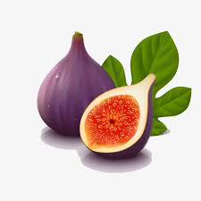 Vector Fig Leaves And Fruits Fig Fruit Vector Fig Leaf Png Transparent Clipart Image And Psd File For Free Download Fruit Vector Fig Fruit Fig