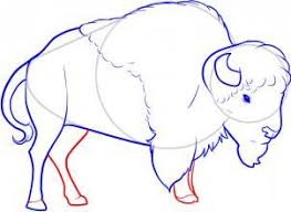 How To Draw A Bison Step By Step Great Plain Animals Animals Free Online Drawing Tutorial Added By Dawn March Bison Art Buffalo Painting Drawing Tutorial