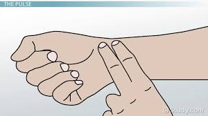Start by asking the patient to take off their shirt. Pulse Deficit Definition Causes Video Lesson Transcript Study Com
