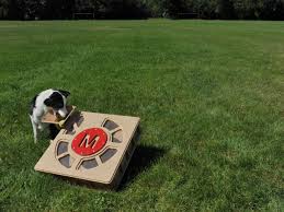 The latest version of my ball launcher for my dogs. Fetch O Matic Automatic Ball Launcher Make