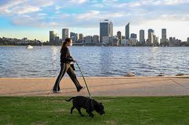 Perth residents ignored a plea from the wa premier not to 'panic buy' after it was announced the city would. Perth Lockdown Begins As Covid Cases Force City And Peel Region Into Three Days Of Hibernation Abc News