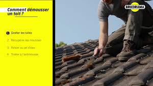 Les nettoyants pour enlever la mousse sur le toit. Comment Demousser Un Toit