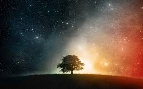 We did not find results for: 38 Hd Wallpaper Night Sky On Wallpapersafari