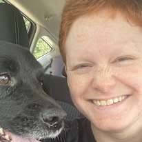 Spartanburg, SC Housemates & Flatmates