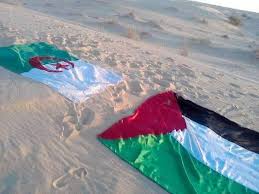 علم فلسطين فيس بوك 2021. ÙÙ„Ø³Ø·ÙŠÙ† ÙˆØ§Ù„Ø¬Ø²Ø§Ø¦Ø±