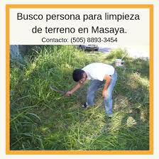 Trabajo Para Ya Persona Para Limpieza De Terreno En Masaya Buena Paga Disponibilidad De Tiempo Responsable Trabajos Day Work Mas Cards Baseball Cards