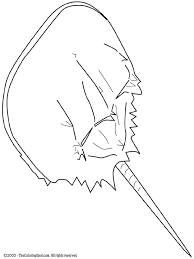 Horseshoe crabs coloring page from crabs category. Horseshoe Crab Coloring Page Audio Stories For Kids Free Coloring Pages Colouring Printables
