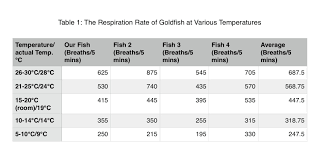 Temperature Respiration Adventures Of Goldfish Smile