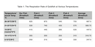 temperature respiration adventures of goldfish smile