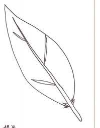 We did not find results for: Coloring Page Of Turkey Feathers Youngandtae Com Turkey Coloring Pages Coloring Pages Peacock Coloring Pages