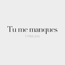Franzosisch Ich Vermisse Dich Ich Vermisse Dich Frenchlessons Spruchesehnsucht French Expressions Alinti Sozler Fransizca