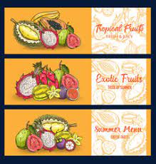 We did not find results for: Banner Durian Vector Images Over 180