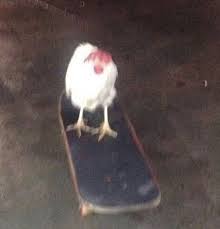 What Kkkkkkkkk Wall Collage Art Collage Wall Mood Pics