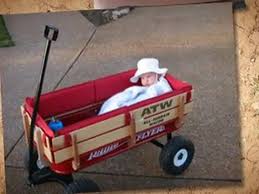 We did not find results for: Radio Flyer 32s All Terrain Steel And Wood Wagon Video Dailymotion