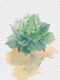Download and use these free succulent transparent background clipart #58914 for your personal projects or designs. Green Echeveria Succulent Plant Illustration Succulent Plant Watercolor Painting Drawing Succulent Plants Transparent Background Png Clipart Nohat Free For Designer