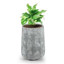85 Sur Blumfeldt Decaflor Bac A Fleurs Ou Plantes Jardiniere Pour Interieur Ou Exterieur 55 X 70 X 55 Cm Fibre De Verre Gris Clair Jardinieres Et Bacs Achat Prix Fnac Results for bac a fleur translation from french to english. blumfeldt decaflor bac a fleurs ou plantes jardiniere pour interieur ou exterieur 55 x 70 x 55 cm fibre de verre gris clair