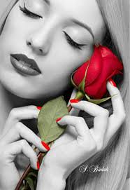 Pin By Forouzan Ameri On S Budak Color Splash Color Red Roses