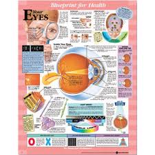 Blueprint For Health Your Eyes Chart Paper