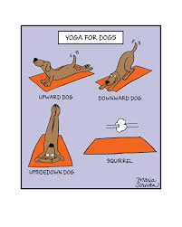 Pin On Yoga