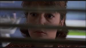 Diane Shaff's Instagram, Twitter & Facebook