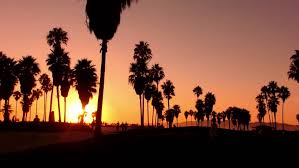 Enezia interview | lifestyle agency. Sunset Beach 12 Silhouette Venice Stock Footage Video 100 Royalty Free 3366056 Shutterstock