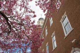 Spalding County Discussion Group